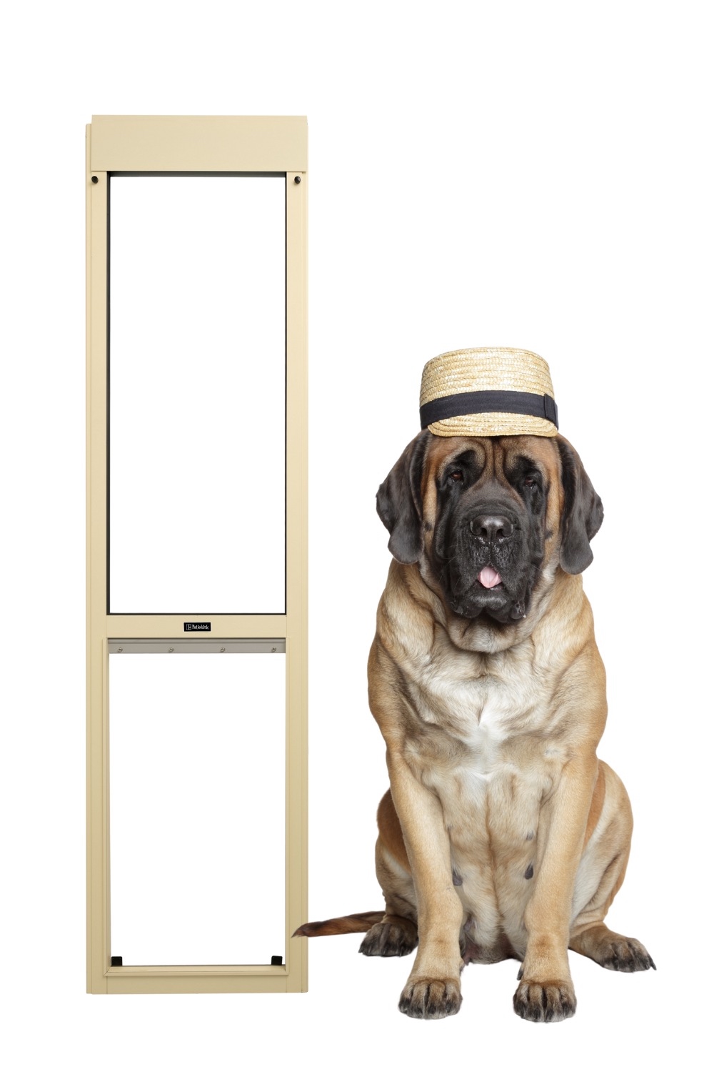 Black and Beige Stylish Product Launch Pinterest Pin - 1 1 Mastiff Pet Door