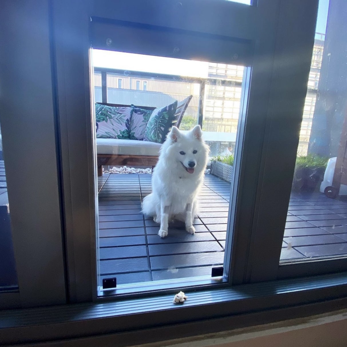Large pet door insert photo Large Pet Door Insert Photo