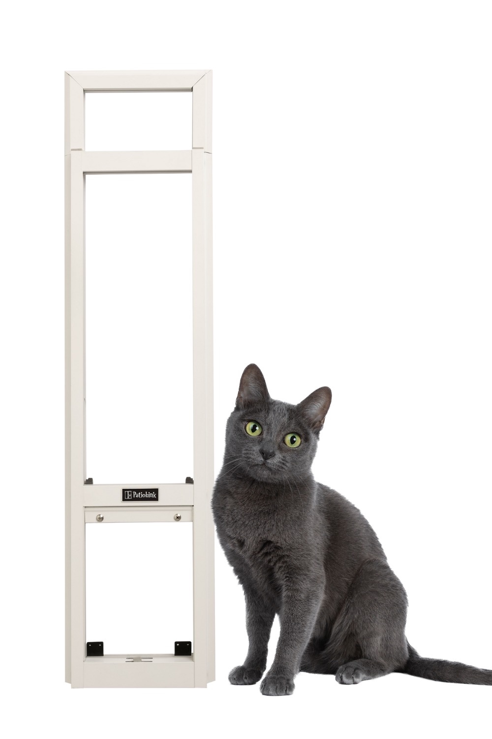 Black and Beige Stylish Product Launch Pinterest Pin - 1 1 Cat W Insert