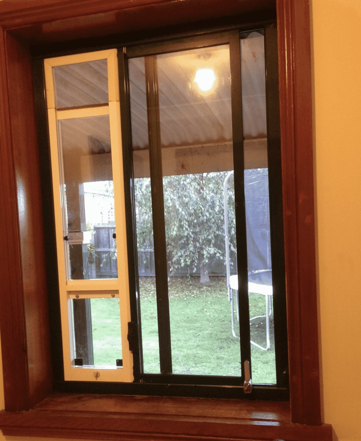 Screen Shot 2021-07-06 at 12.35.43 pm Cat Window Inserts For Sale 2022