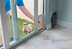 pet door