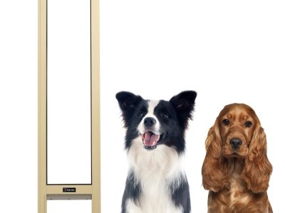 Black And Beige Stylish Product Launch Pinterest Pin - 1