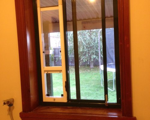 Gallery-38-Cat-Window-Insert-min.jpg